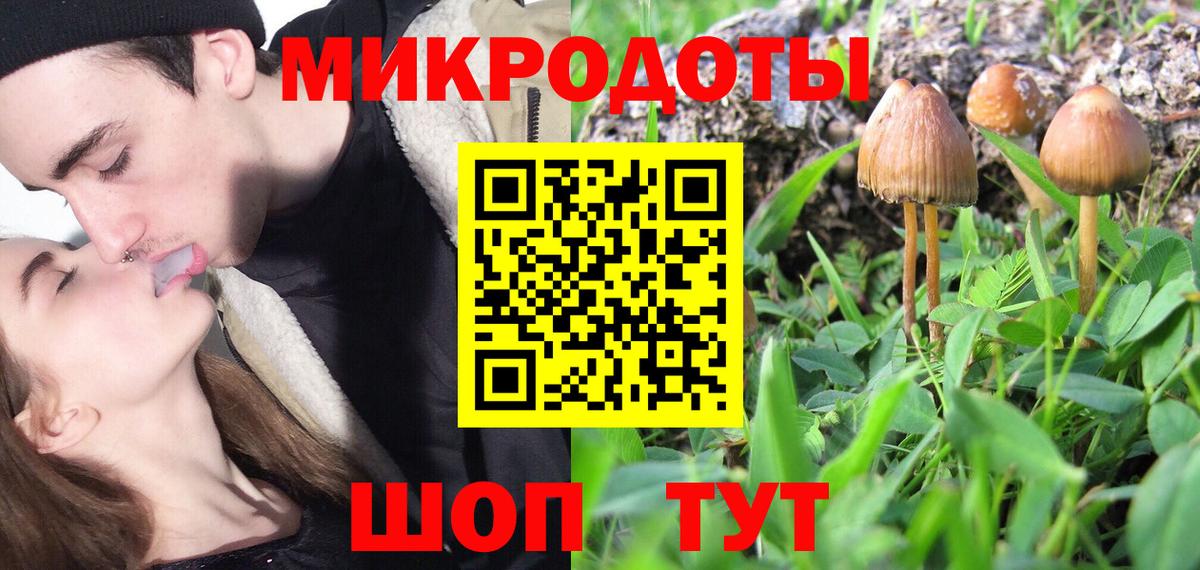 Михайловск  Галлюциногенные грибы мухоморы  Вход с VPN  Псилоцибиновые грибы Magic Shrooms 